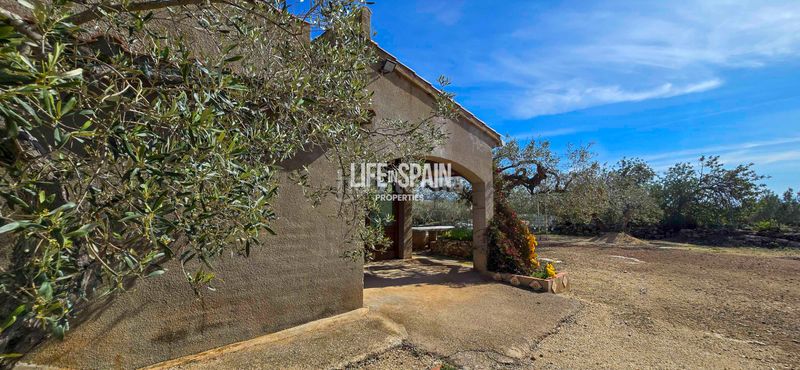 Foto 0417b98c-0b02-4500-9126-78e18619cd88. Chalet dans carrer poligono 78 43 dans Ampolla (L´)