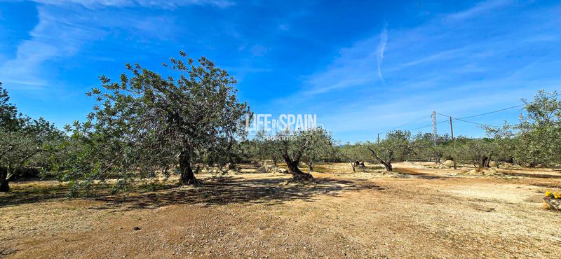 Foto 343c1cba-4869-432a-8593-00386e4d311e. Chalet dans carrer poligono 78 43 dans Ampolla (L´)