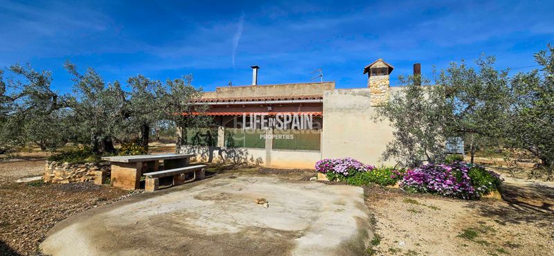 Foto 3799dfbe-f9f4-47f0-a11e-551852236ccf. Chalet dans carrer poligono 78 43 dans Ampolla (L´)