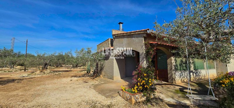 Foto 37b29340-a489-49b4-8e53-8b63798d8e2e. Chalet dans carrer poligono 78 43 dans Ampolla (L´)
