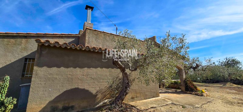 Foto 50ab875a-1b06-446f-8d3b-4cad5002a03b. Chalet dans carrer poligono 78 43 dans Ampolla (L´)