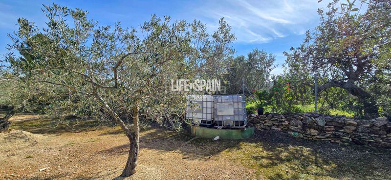 Foto 5195c184-4b10-4e85-911b-81677f39a3e3. Chalet dans carrer poligono 78 43 dans Ampolla (L´)
