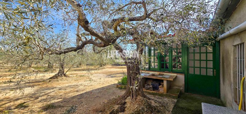 Foto 8d4df035-19d9-4984-9d7b-4609b8674111. Chalet dans carrer poligono 78 43 dans Ampolla (L´)