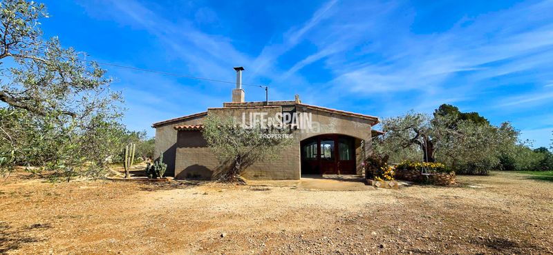 Foto 9fb1e118-5920-4bbe-8d7b-38742f13b09d. Chalet dans carrer poligono 78 43 dans Ampolla (L´)