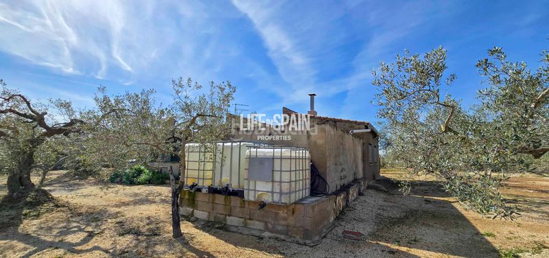Foto a07ab70a-0068-4dff-a593-c9779a03012a. Chalet dans carrer poligono 78 43 dans Ampolla (L´)