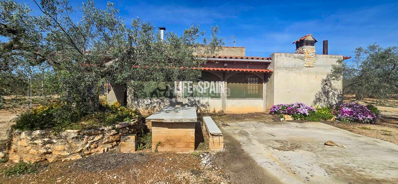 Foto f2b16f42-33cc-4724-8596-286e50b0f4a2. Chalet dans carrer poligono 78 43 dans Ampolla (L´)