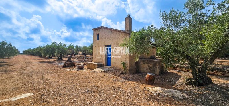 Foto a2c79886-8bb6-4c16-9140-9d915644f881. Masia amb xemeneia a Ampolla (L´)