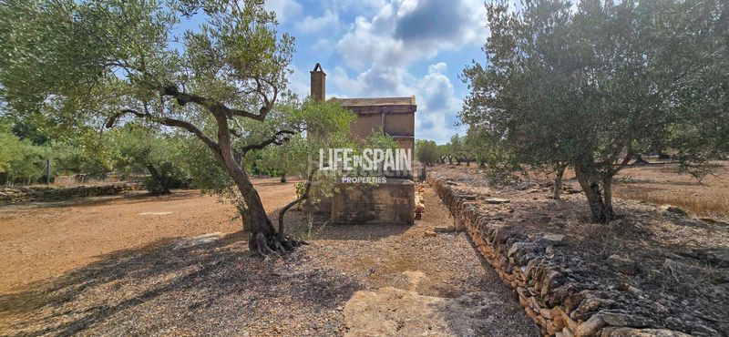 Foto b4d6e764-9ca4-41ad-8c6d-2a28e398919c. Masia amb xemeneia a Ampolla (L´)
