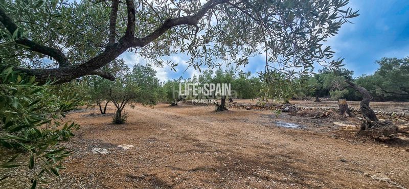 Foto ba64e8bd-0dff-4486-82d5-00155b900741. Masia amb xemeneia a Ampolla (L´)