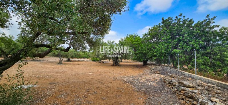 Foto fe640ede-f68b-49d6-84c5-84e3ae333b13. Masia amb xemeneia a Ampolla (L´)