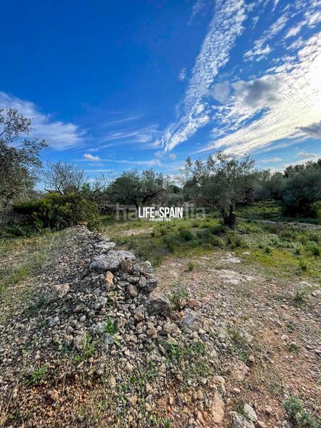 Foto 06d792db-23e0-48df-8767-ee796ce38be7. Masia a n/a a Aldea (L´)