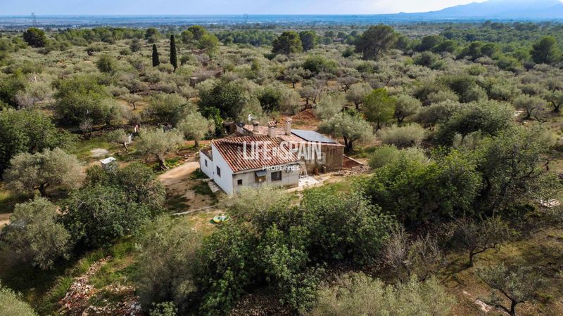 Foto 07044442-5ab0-4d9f-8401-d15070d287ed. Masia a n/a a Aldea (L´)