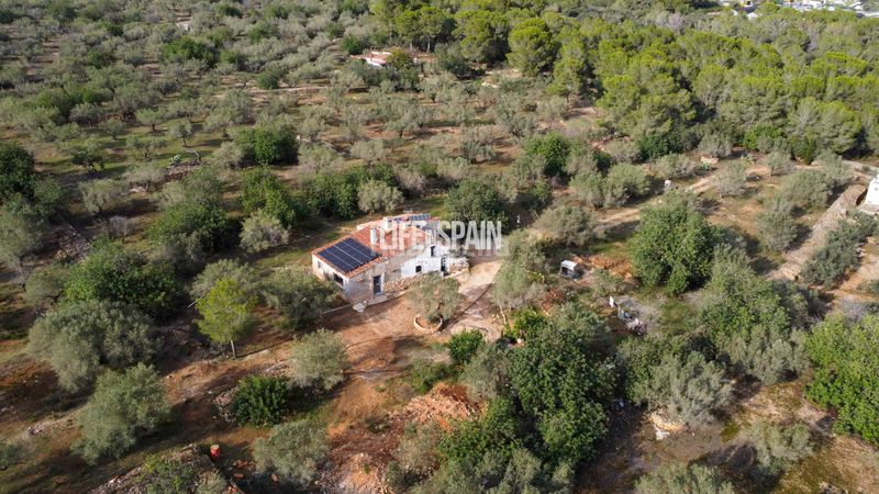Foto 11c9add8-8305-44ba-8508-c39ef37e348e. Masia a n/a a Aldea (L´)