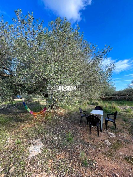 Foto 268d1f36-d62c-47b6-af9d-d723bea1a347. Masia a n/a a Aldea (L´)