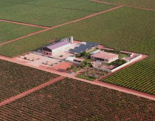 Edifici a Tomelloso. Bodega y hotel rural