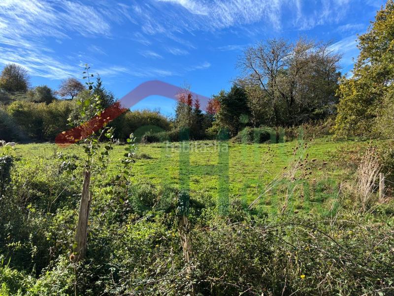 Foto 2c7ce9c1-55dc-43de-a0f3-421844b79adc. Residential plot in Zugarramurdi