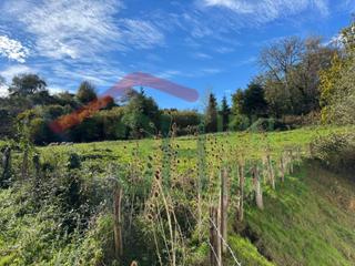 Residential Plot in Zugarramurdi. Precioso terreno en zugarramurdi