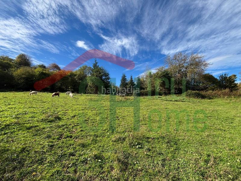 Foto 8bcb3d90-c473-4339-bd58-cd89fa710ce4. Residential plot in Zugarramurdi