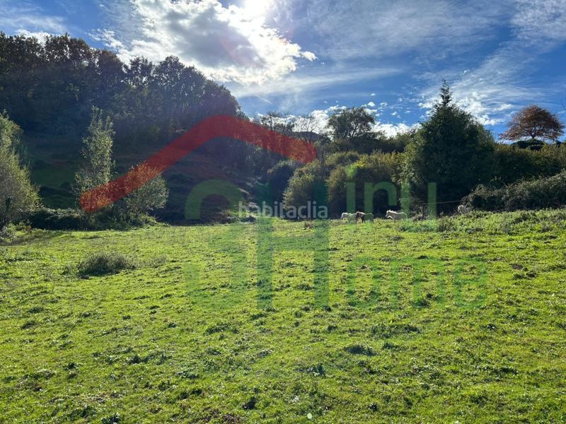 Foto b03734bb-4abd-4c5a-8ef6-97122bcacdaa. Residential plot in Zugarramurdi