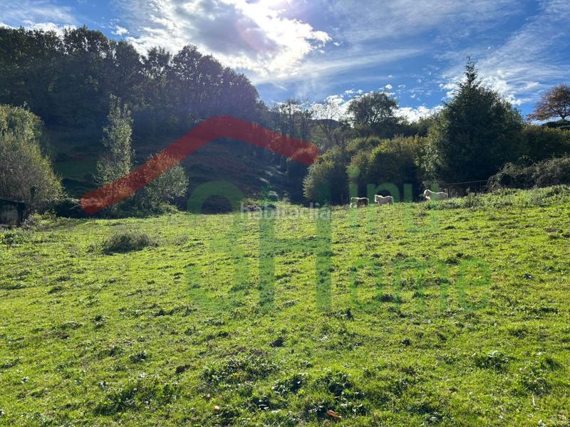 Foto b9e693ef-005b-424c-b6fc-6e45551f79a7. Residential plot in Zugarramurdi