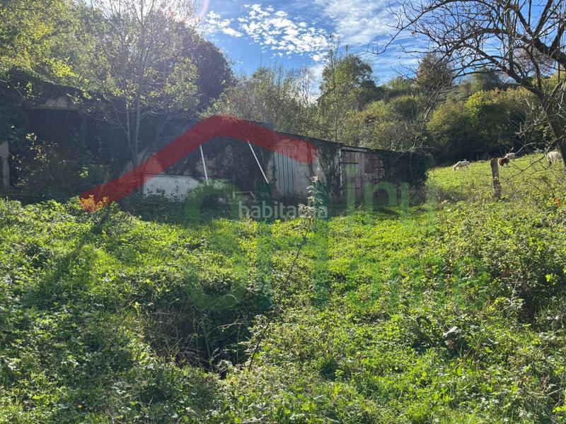 Foto f9a92582-6583-4797-aa4c-ad12c144fe59. Residential plot in Zugarramurdi