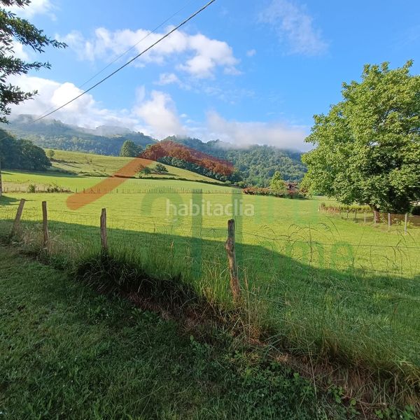 Foto f63ca904-33d5-4cb2-92ae-2d28dde1a2c1. Terreny residencial a Donamaria