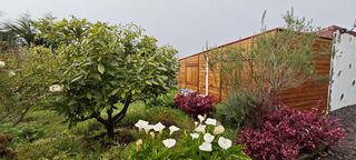 Fondo rustico in Icod El Alto. Se vende finca rústica con casa de madera y vistas al teide  ico