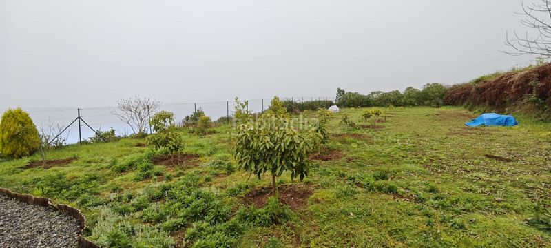 Foto 78c11f10-6f7b-4337-a257-590cc552dd89. Finca rústica a Icod El Alto Realejos (Los)