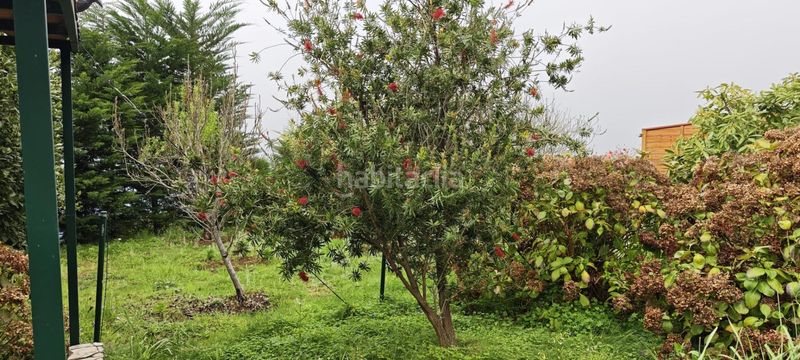 Foto 7d62a7b1-590a-4e96-885f-fd68f126d3c0. Finca rústica a Icod El Alto Realejos (Los)