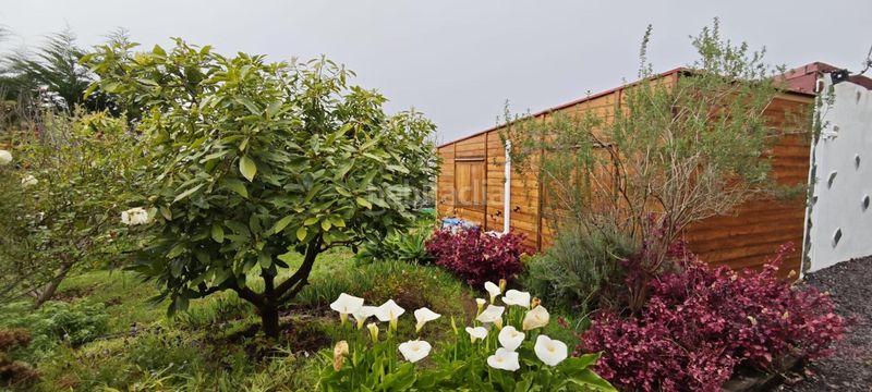 Foto cff9c8d0-aa17-4a0d-b7fd-f251c69b812c. Finca rústica a Icod El Alto Realejos (Los)