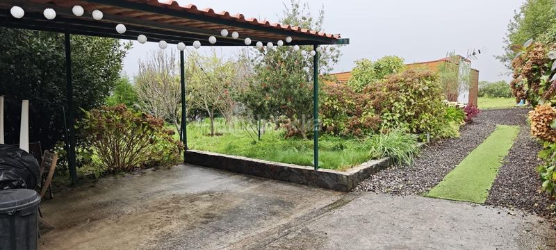 Foto d5f30cf7-b1b8-448b-ae9c-adb5c1bb91b7. Finca rústica a Icod El Alto Realejos (Los)