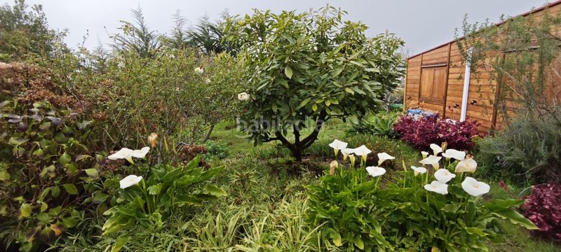 Foto f8fbc7b6-9243-4660-beb0-565a917b772b. Finca rústica a Icod El Alto Realejos (Los)