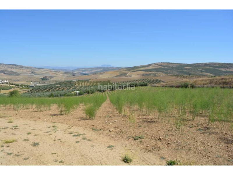 Foto 1a0e5d7d-de31-43ba-90a7-ae1365e3fd4e. Propriété dans iberoamerica 13 dans Alhama de Granada