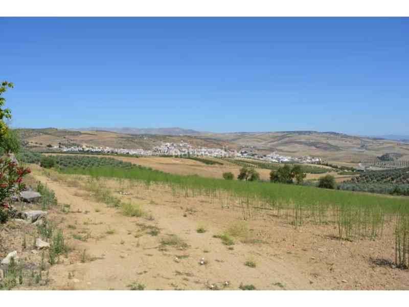 Foto 57b23250-ba8a-4723-9d63-5a3911e55736. Propriété dans iberoamerica 13 dans Alhama de Granada