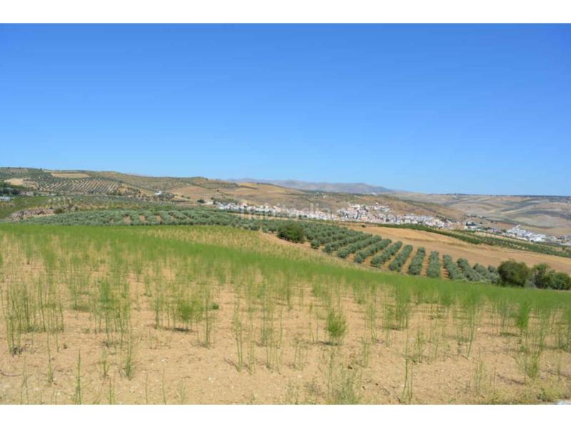 Foto 7ba570cd-6b28-4934-95aa-9001c1e64341. Propriété dans iberoamerica 13 dans Alhama de Granada