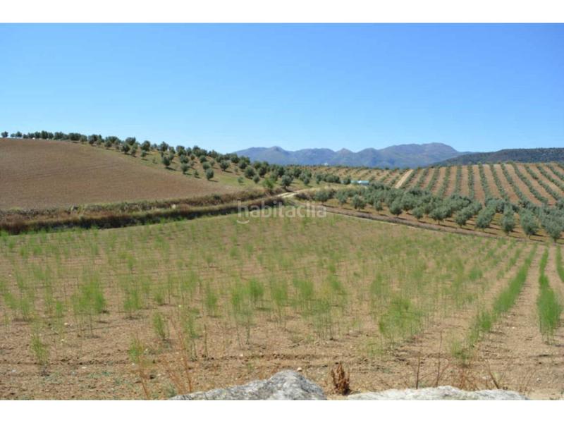 Foto aaac0bb9-fc08-49c1-ac31-008367559a48. Propriété dans iberoamerica 13 dans Alhama de Granada