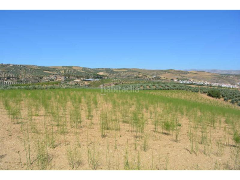 Foto f296c6b0-9e5c-4c40-9abe-f66953c850f8. Propriété dans iberoamerica 13 dans Alhama de Granada