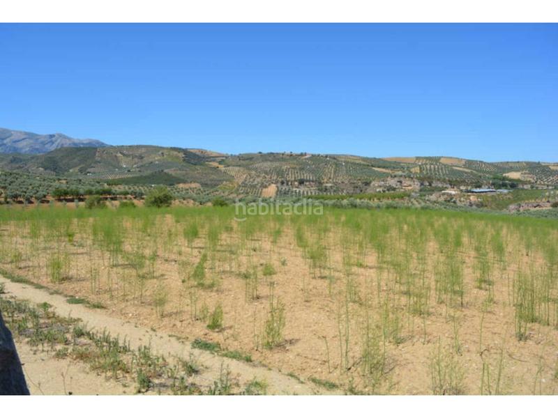 Foto ff4a634b-6eb1-45d4-9033-c1b1e4235a20. Propriété dans iberoamerica 13 dans Alhama de Granada