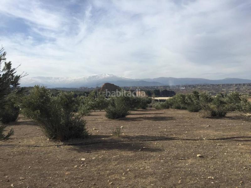 Foto 4864767f-eb64-4744-b181-30347169c505. Finca rústica a Guadix