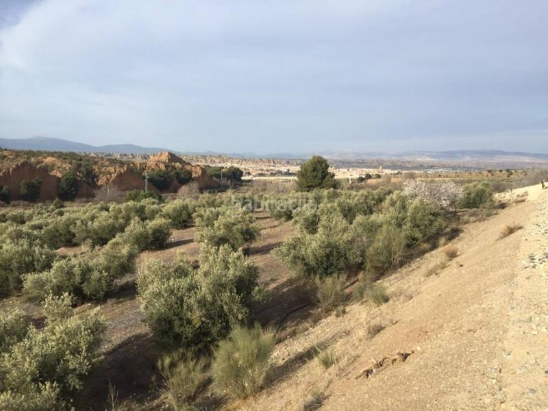 Foto 5795be9b-c236-4437-a612-9d0e170b9de2. Finca rústica a Guadix