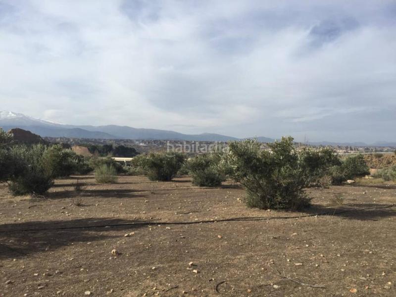 Foto c20a15ff-7b00-4f1b-9ac9-9d6e5ef48435. Finca rústica a Guadix