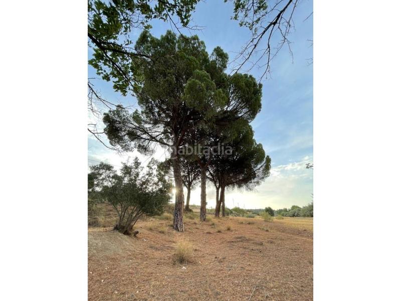 Foto c92bdfa1-6956-4b7f-ba69-6e6cf01bb7de. Finca rústica a Guadix