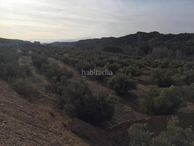 Foto cac4026c-23ed-49a0-8ad0-22c8b75fa3bd. Finca rústica a Guadix