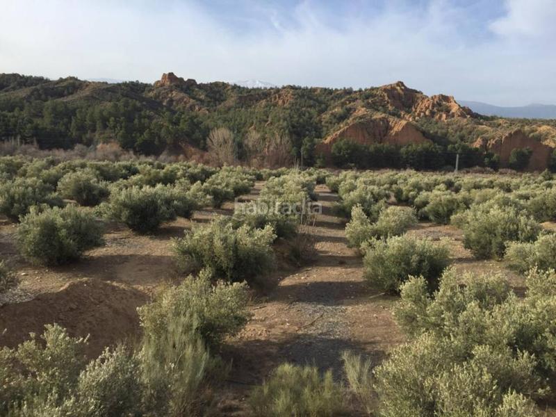 Foto cbce9983-93a5-46ac-b848-42c244e39ff3. Finca rústica a Guadix
