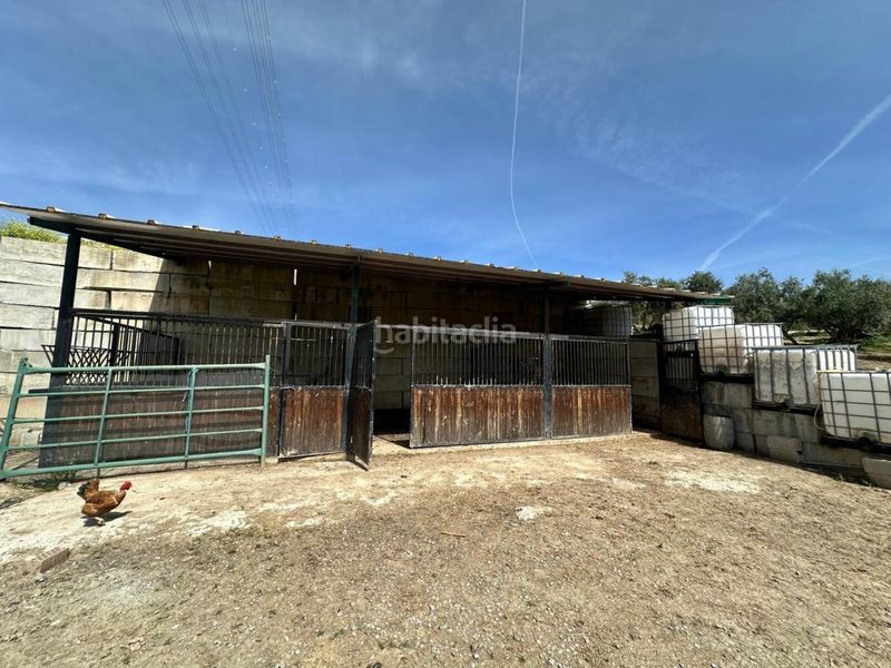 Foto 46ca4b33-f757-4a17-8752-dd1a5538e5bd. Finca rústica a plaza iglesia 1 a Alfacar