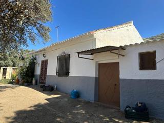 Finca rústica a Moraleda de Zafayona. Si desea vivir de la ganadería, esta es su oportunidad, no la de