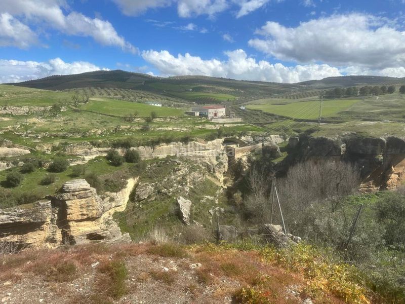 Foto 1c1698f3-f4eb-4b23-8b65-7cb2f19e76cf. Finca rústica a calle bajas monjas 6 a Alhama de Granada