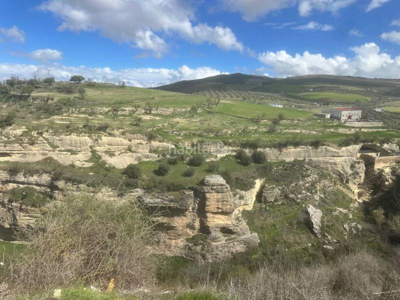 Foto cee4db1c-cc88-40d5-9eda-b75ae496e8e8. Finca rústica a calle bajas monjas 6 a Alhama de Granada