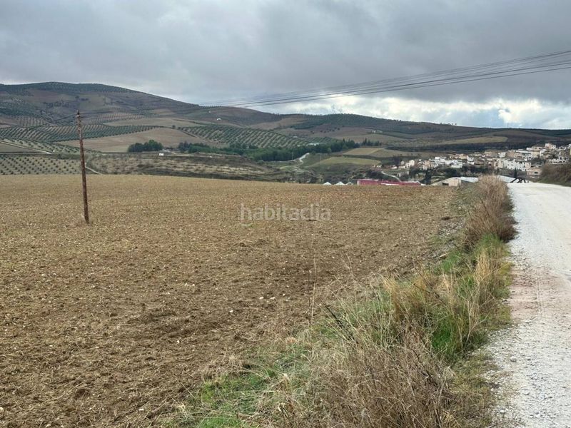Foto 39d5b4e6-e868-4998-aa19-4747dba621c5. Finca rústica suelo urbanizable en Alhama de Granada