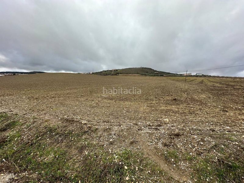 Foto 9d1a63d7-b8f5-4ca1-b5e1-c7fc696a25ae. Finca rústica suelo urbanizable en Alhama de Granada